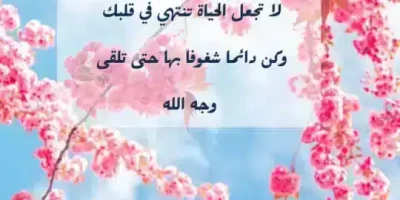 الحياة حلوة بس نفهمها