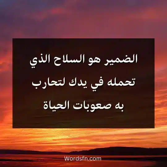 الضمير هو السلاح الذي تحمله في يدك لتحارب به صعوبات الحياة