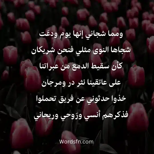 قصائد رثاء حزينة