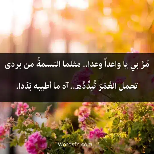 أروع قصائد سعيد عقل
