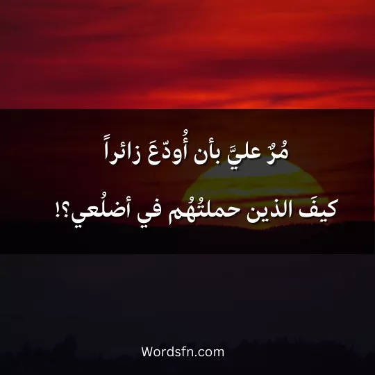 ‏مُرٌ عليَّ بأن أُودّعَ زائراً‏كيفَ الذين حملتُهُم في أضلُعي؟!