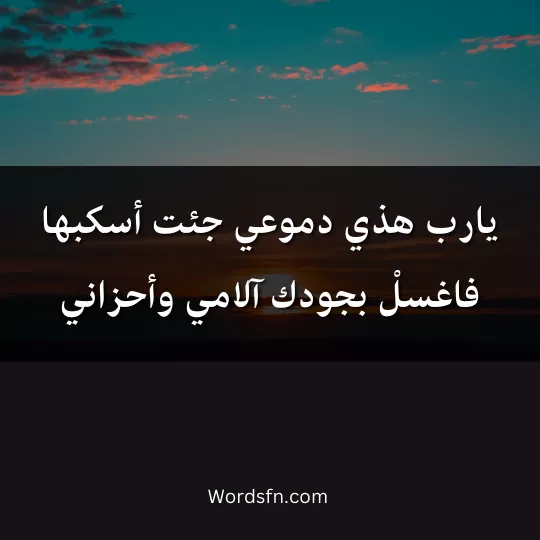 يارب هذي دموعي جئت أسكبهافاغسلْ بجودك آلامي وأحزاني