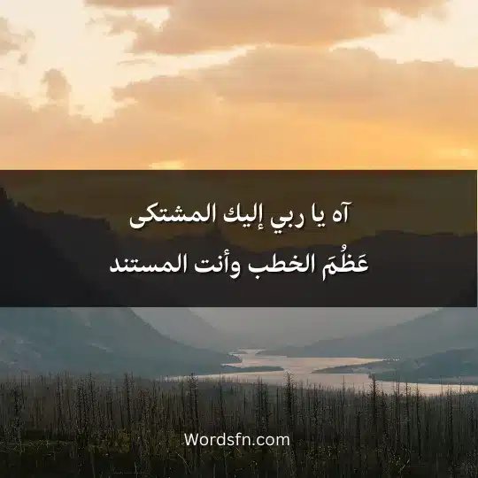 آه يا ربي إليك المشتكىعَظُمَ الخطب وأنت المستند