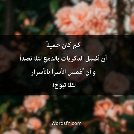 Quotes-Abdel-Azim-Finjan 4 - فن العبارات كم كان جميلاًأن أغسلَ الذكريات بالدمع لئلا تصدأ، و أن أغمس الأسراَ بالأسرار، لئلا تبوح!