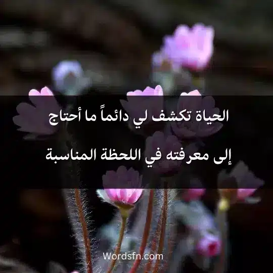 Self-Love-Affirmations-by-Louise-Hay 2 - فن العبارات الحياة تكشف لي دائماً ما أحتاج إلى معرفته في اللحظة المناسبة