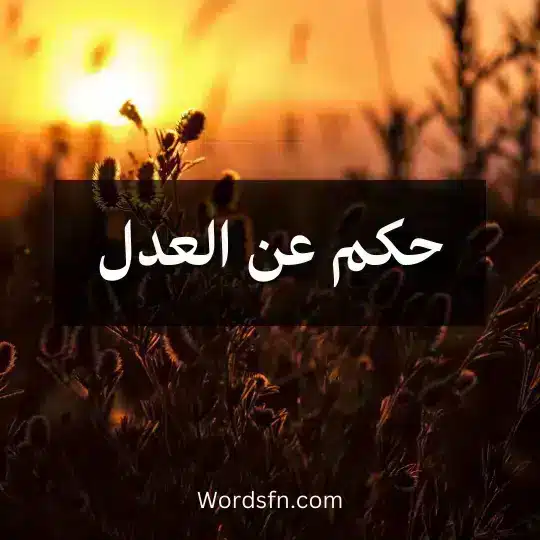 حكم عن العدل