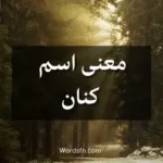 معنى اسم كنان