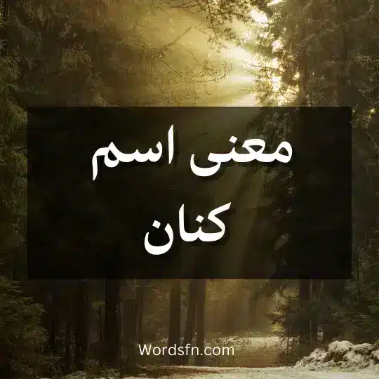 معنى اسم كنان