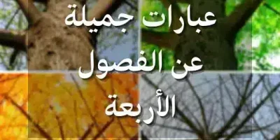 عبارات جميلة عن الفصول الأربعة