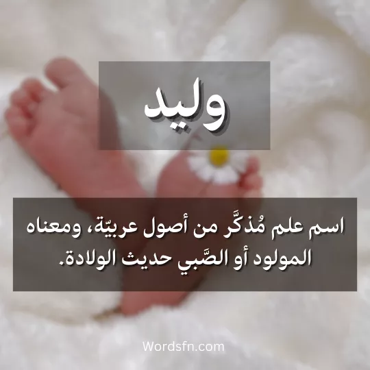 معنى اسم وليد