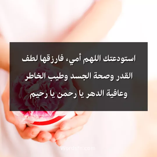 استودعتك اللهم أمي، فارزقها لطف القدر وصحة الجسد وطيب الخاطر وعافية الدهر يا رحمن يا رحيم
