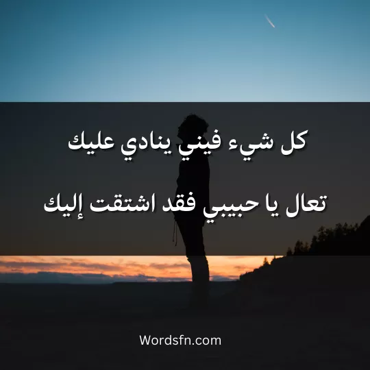 كل شيء فيني ينادي عليك، تعال يا حبيبي فقد اشتقت إليك