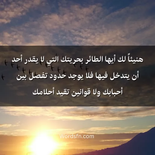 Words-about-birds 3 - فن العبارات اجمل ما قيل عن الطيور