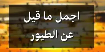 اجمل ما قيل عن الطيور