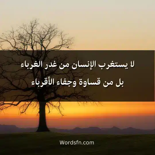 لا يستغرب الإنسان من غدر الغرباء بل من قساوة وجفاء الأقرباء