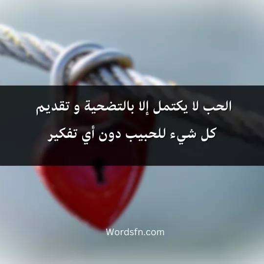 الحب لا يكتمل إلا بالتضحية و تقديم كل شيء للحبيب دون أي تفكير