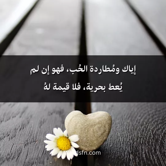 أجمل اقتباسات وأقوال باولو كويلو