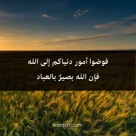 فوضوا أمور دنياكم إلى الله، فإن الله بصيرٌ بالعباد