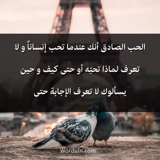 الحب الصادق أنك عندما تحب إنساناً و لا تعرف لماذا تحبّه أو حتى كيف و حين يسألوك لا تعرف الإجابة حتى.