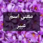 معنى اسم عبير