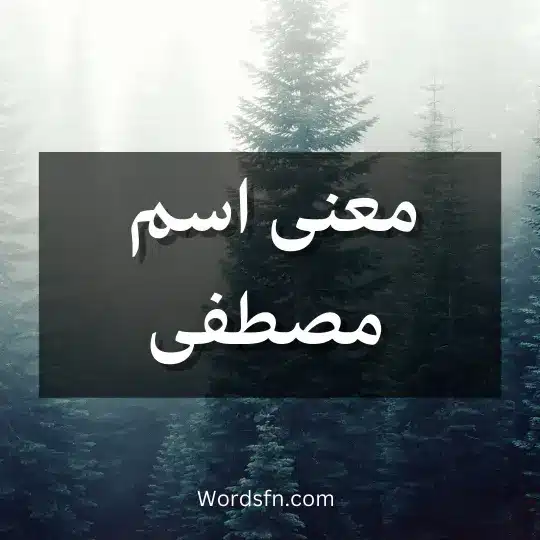معنى اسم مصطفى