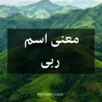 معنى اسم ربى