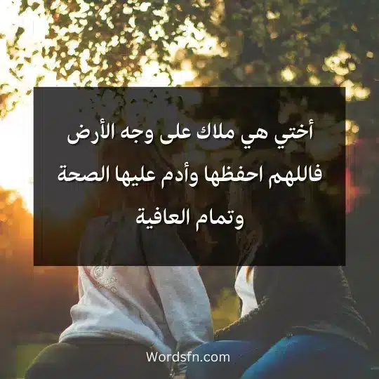 العبارات عن الاخت