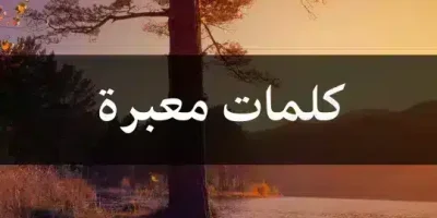 كلمات معبرة