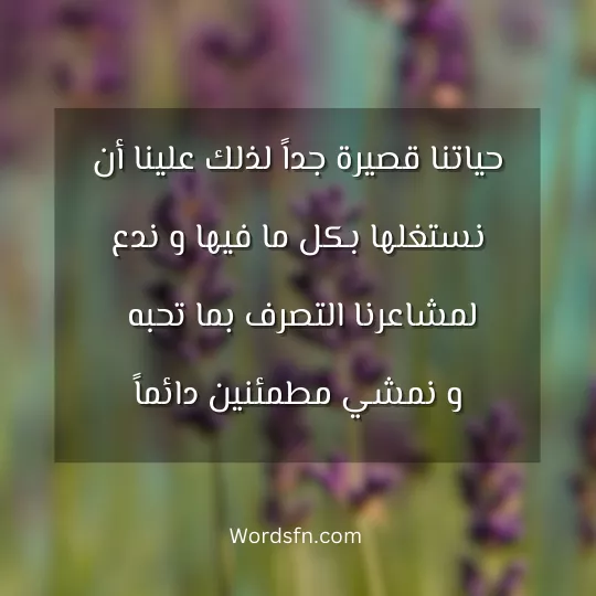 real-words 2 - فن العبارات حياتنا قصيرة جداً لذلك علينا أن نستغلها بكل ما فيها و ندع لمشاعرنا التصرف بما تحبه و نمشي مطمئنين دائماً.