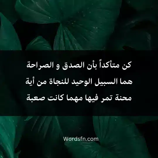 real-words 3 - فن العبارات كن متأكداً بأن الصدق و الصراحة هما السبيل الوحيد للنجاة من أية محنة تمر فيها مهما كانت صعبة.