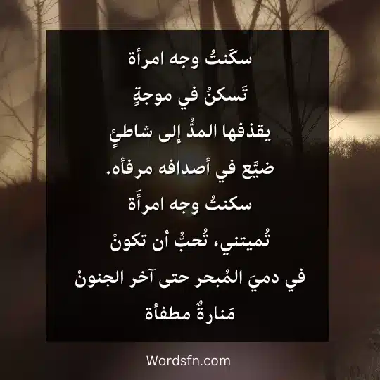 أروع قصائد أدونيس