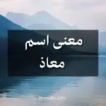معنى اسم معاذ