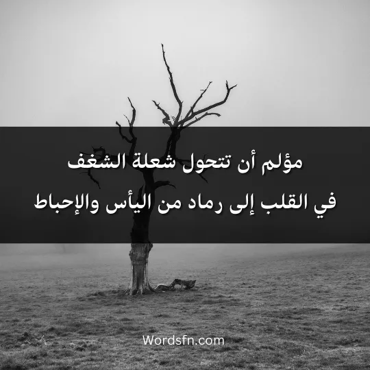 words-about-frustration-and-despair 3 - فن العبارات مؤلم أن تتحول شعلة الشغف في القلب إلى رماد من اليأس والإحباط