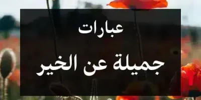 عبارات جميلة عن الخير