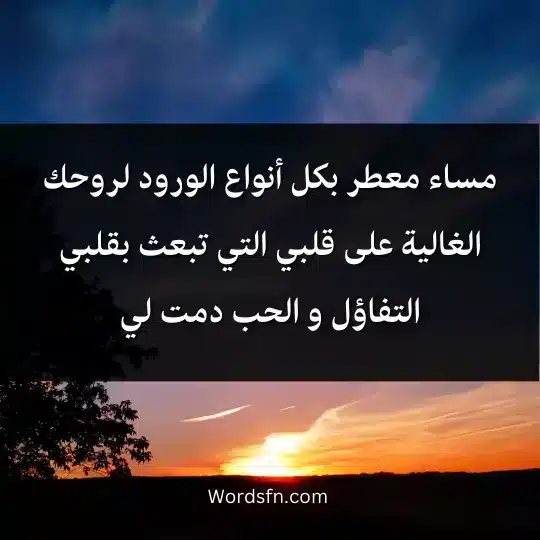 مساء معطر بكل أنواع الورود لروحك الغالية على قلبي التي تبعث بقلبي التفاؤل و الحب دمت لي