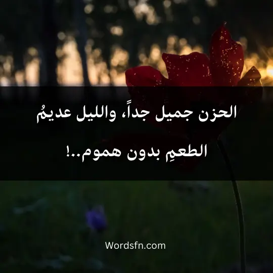 الحزن جميل جداً، والليل عديمُ الطعمِ بدون هموم..!