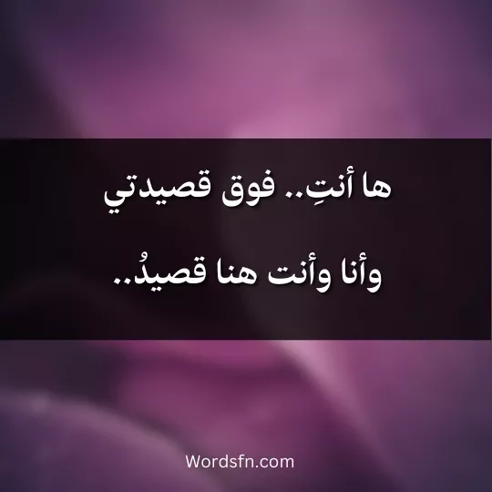 ها أنتِ.. فوق قصيدتي، وأنا، وأنت هنا قصيدُ..