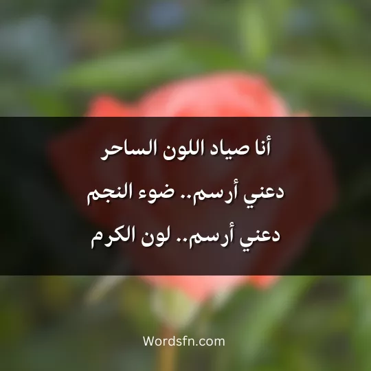 أنا صياد اللون الساحر، دعني أرسم.. ضوء النجمدعني أرسم.. لون الكرم.