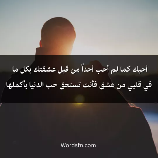 أحبك كما لم أحب أحداً من قبل عشقتك بكل ما في قلبي من عشق فأنت تستحق حب الدنيا بأكملها