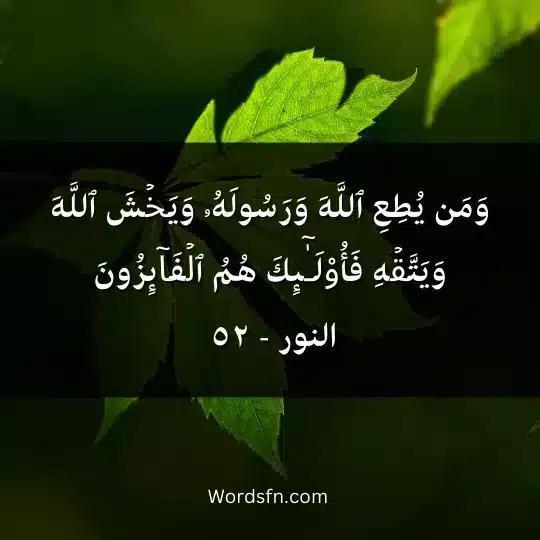 ومن يطع اللَّه ورسوله ويخش اللَّه ويتقه فأولئك هم الفائزون