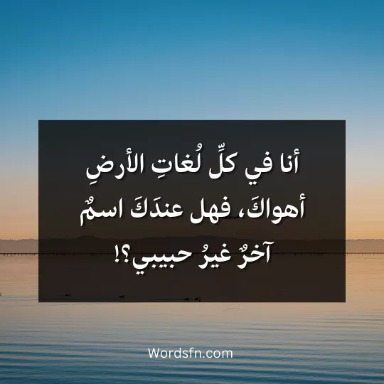 أنا في كلِّ لُغاتِ الأرضِ أهواكَفهل عندَكَ اسمٌ آخرٌ
غيرُ حبيبي؟!
