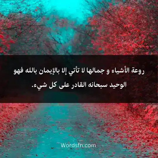 روعة الأشياء و جمالها لا تأتي إلا بالإيمان بالله فهو الوحيد سبحانه القادر على كل شيء.