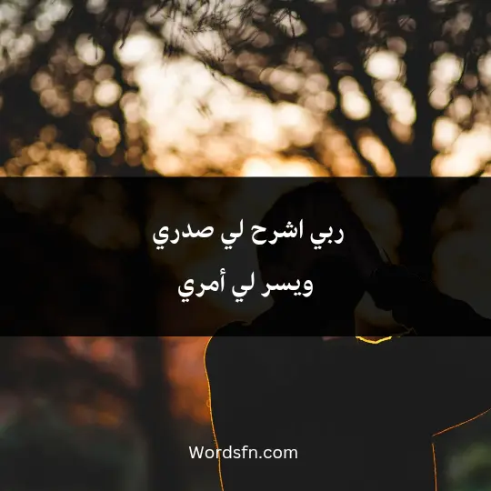 ربي اشرح لي صدري ويسر لي أمري و احلل عقدة من لساني