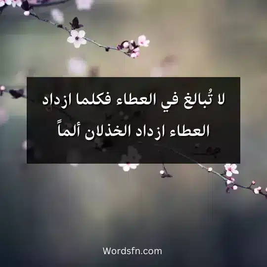 عبارات عن العطاء