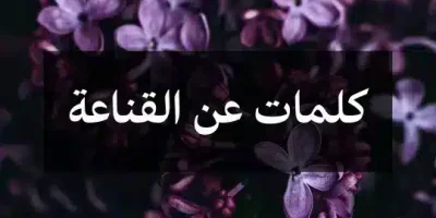 كلمات عن القناعة