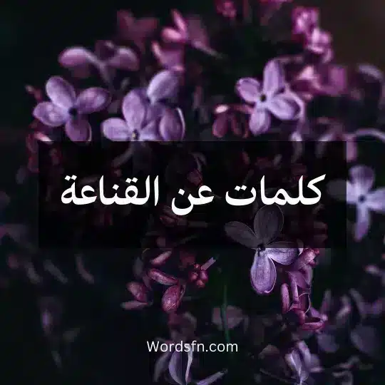 كلمات عن القناعة