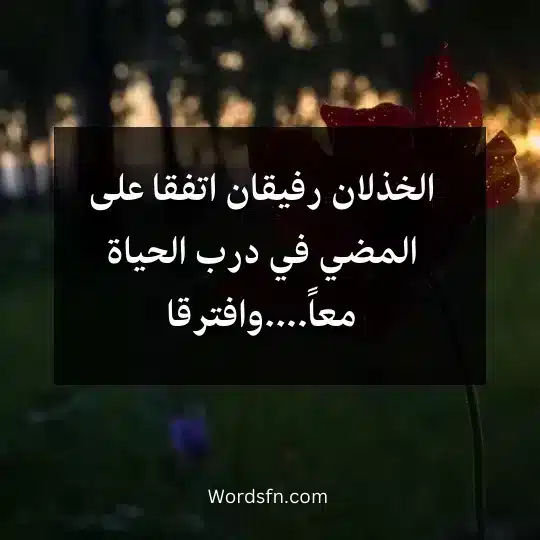 الخذلان رفيقا اتفقا على المضي في درب الحياة معاًوافترقا