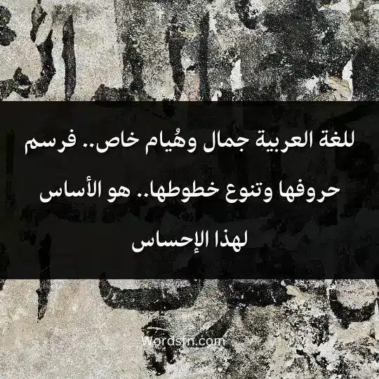 للغة العربية جمال وهُيام خاص فرسم حروفها وتنوع خطوطها هو الأساس لهذا الإحساس