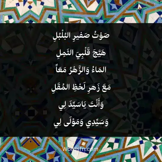 صَوْتُ صَفيرِ البُلْبُلِهَيَّجَ قَلْبِيَ الثَمِلِ
المَاءُ وَالزَّهْرُ مَعَاً
مَعَ زَهرِ لَحْظِ المُقَلِ
وَأَنْتَ يَاسَيِّدَ لِي
وَسَيِّدِي وَمَوْلَى لِي