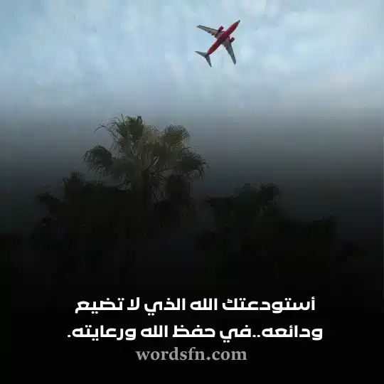 حالات عن السفر